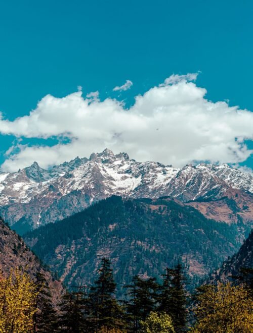 Kasol & Tosh Nature Retreat