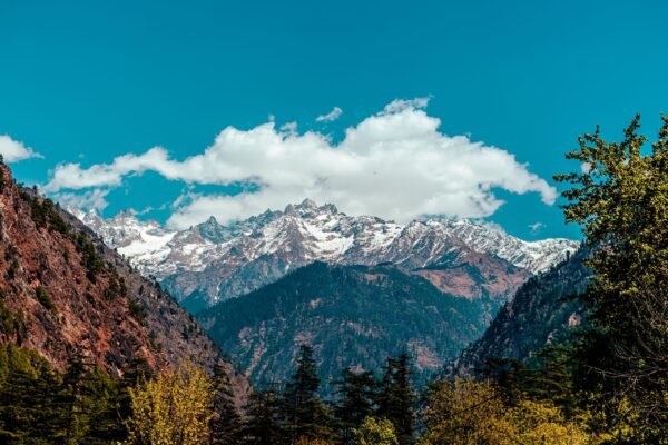 Kasol & Tosh Nature Retreat